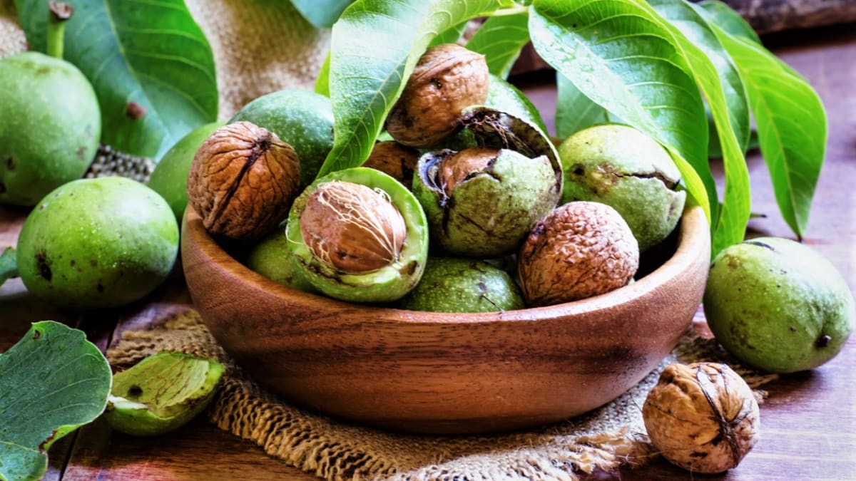 Vlašské ořechy patří mezi nejzdravější potraviny.  Jak ořešák královský pěstovat
