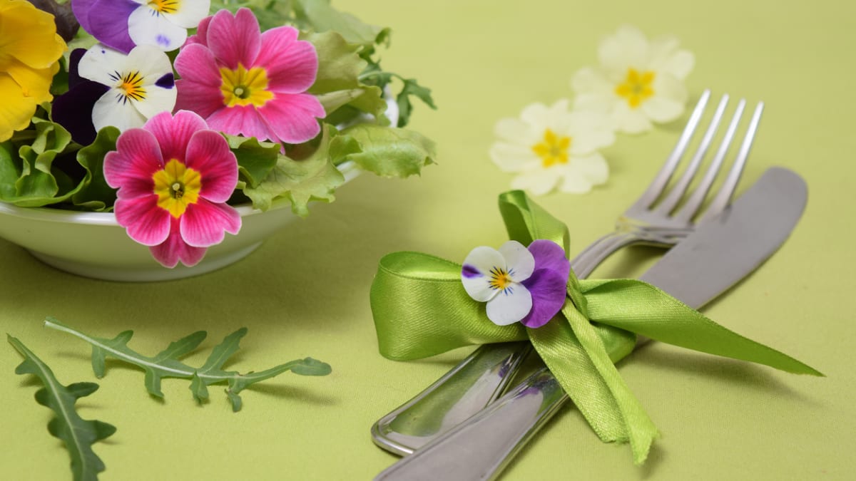 Ozdobte si jarní talíře jedlými květy i listy 1
