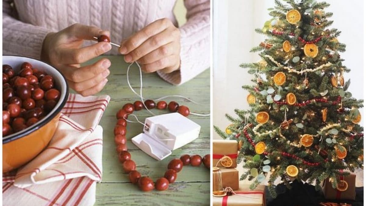 Americké brusinky využijete na vánoční dekorace i jako přírodní lék 4