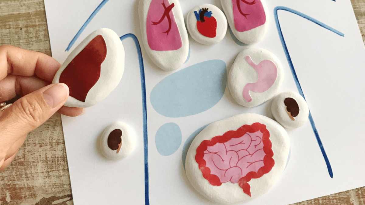 Malované kamínky, které dětem pomůžou s učením 8