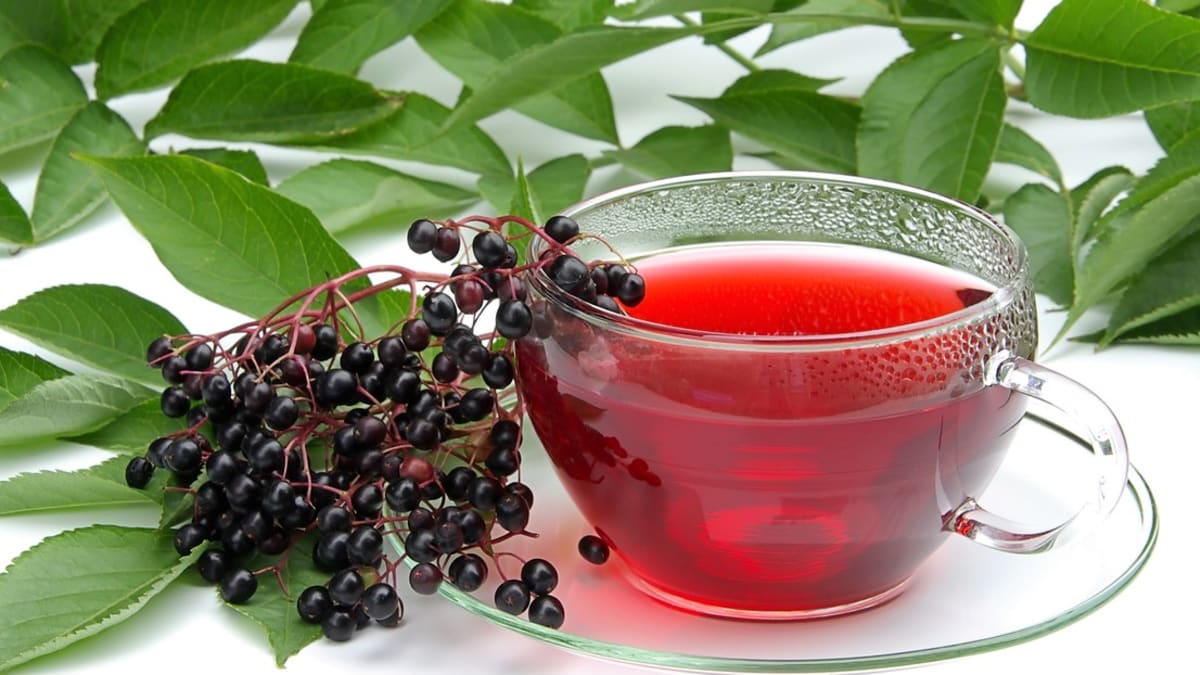 Bezinkový čaj: jako prevenci proti chřipce a nachlazení v sychravých podzimních dnech vypijeme toto množství čaje ráno a večer po jídle.