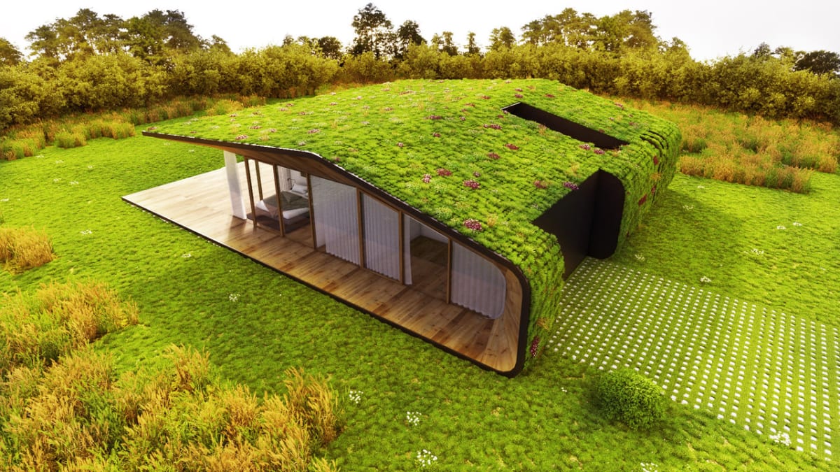 Dům s trávou na střeše - Obrázek 1