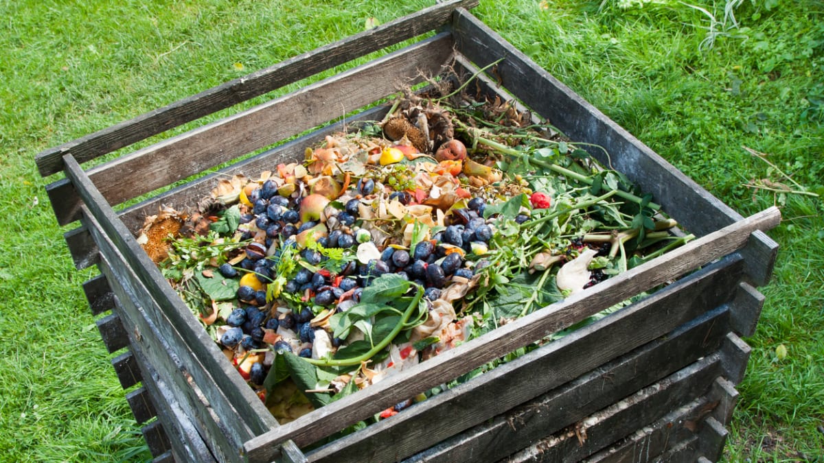 zalévání kompostu