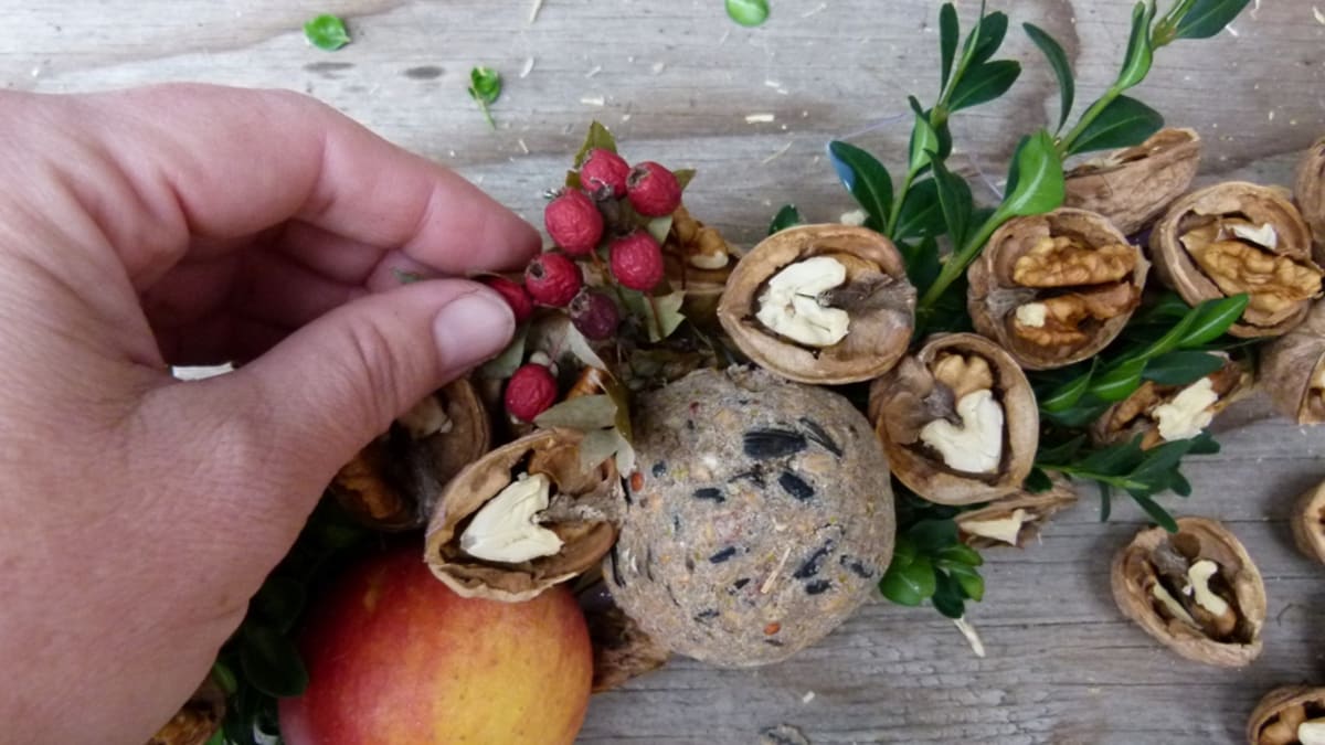 Slaměný cop s ořechy pro ptáčky: Netradiční krmítko ozdobí vaši zahradu 4