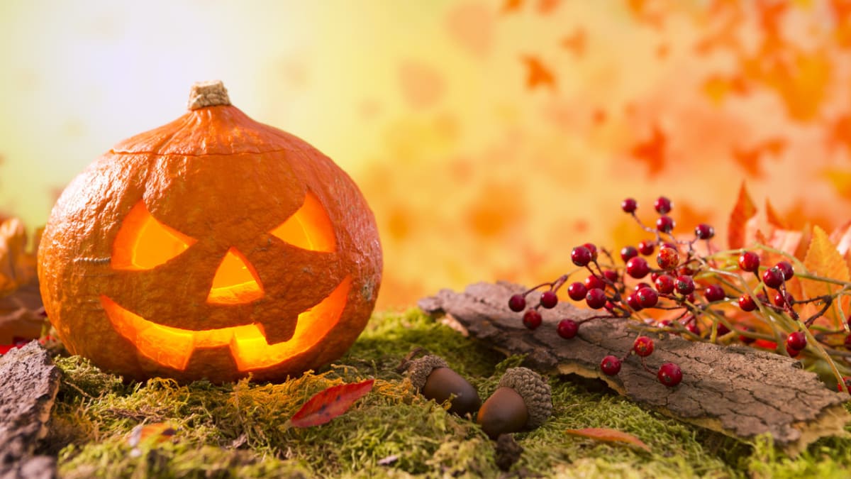 Halloween není jen americký svátek. Naši předci místo dýní vyřezávali řepu  | Prima Living