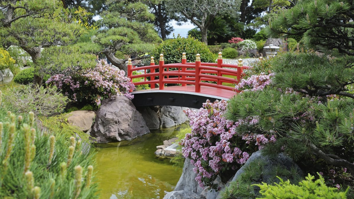Japonská zahrada - mostek