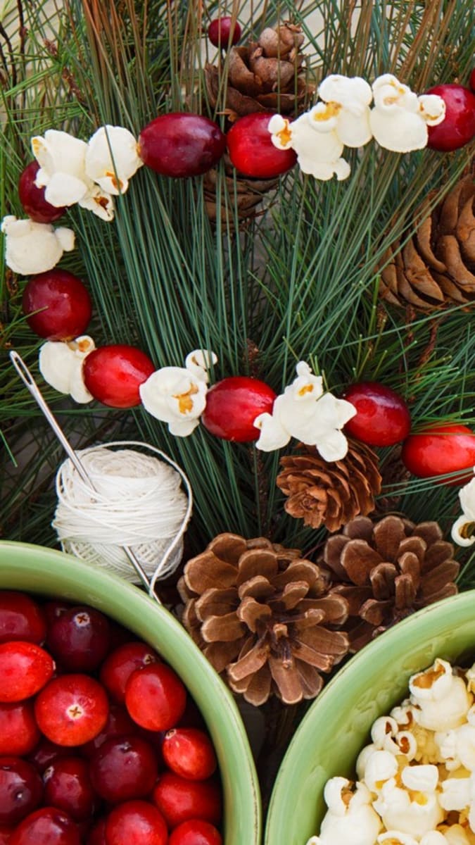 Americké brusinky využijete na vánoční dekorace i jako přírodní lék 9