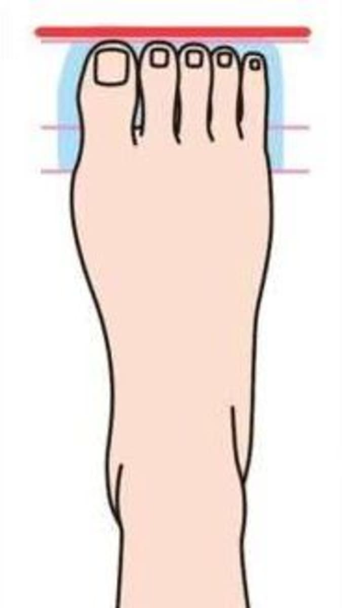 Typy nohou - Obrázek 2