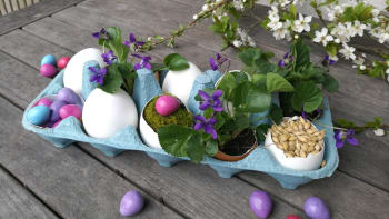 Fialková velikonoční zahrádka: Papírové obaly na vejce i skořápky poslouží jako malé květináčky