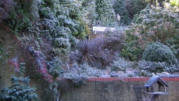 Zahrada v prosinci