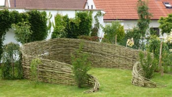 Živé stavby z vrby vytvoří labyrint i originální sochu na zahradu