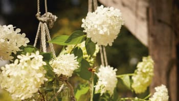 DIY: Vytvořte si závěsné létající vázy na květiny! Na stole zbyde více místa pro dobroty