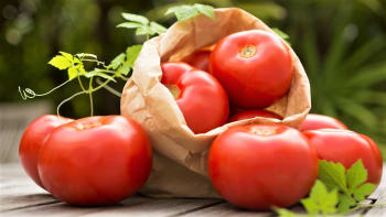 Proč jsou rajčata tak výjimečná a jak v obchodě poznáme, že jsou kvalitní