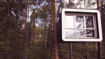 Jako v Eragonovi: Švédský hotel ubytovává své hosty na stromech
