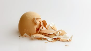 Skořápky od vajíček nevyhazujte. Tohle je 7 tipů, jak je maximálně využít