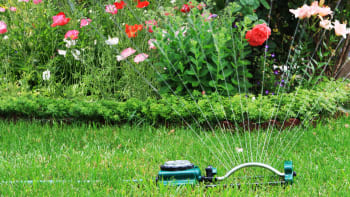 Je možné mít v letním vedru zelený trávník? Jde, ale zalévat nestačí