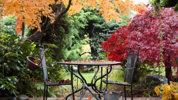 Jak se na podzim postarat o zahradní nábytek: Každý materiál si žádá své