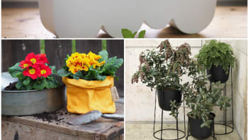 Nákupní košík: 20 stylových květináčů pro váš balkon nebo zahradu