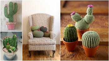 Nechte se inspirovat oblíbenými kaktusy a dejte se do malování, pletení i šití
