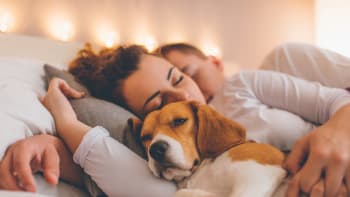 Pokud s vámi spí pes v posteli, sledujte, jaké místo si vybere. Zjistíte tak zajímavé věci