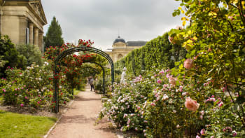 Nejkrásnější růžové zahrady