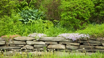 Suchá zídka pomůže rozdělit zahradu do zón, vytvoří terasy a poslouží jako netradiční záhon