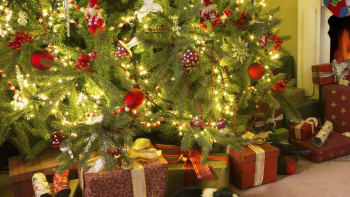 První vánoční stromky se na Vánoce prostě snědly