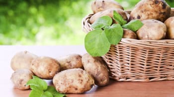 Úkol na víkend: Vysázejte brambory