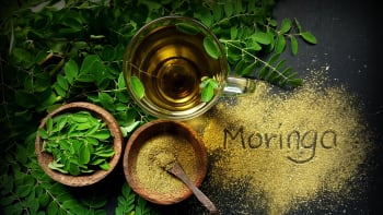 Moringa olejodárná je zázračná superpotravina, kterou můžete pěstovat jako přenosnou rostlinu