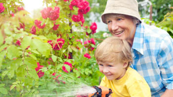 Červen na zahradě: Vysejte dvouletky, odstraňte přebytečné plody a hlídejte škůdce