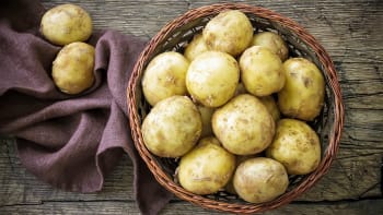 Jak nakupovat brambory a proč české patří mezi nejlepší?