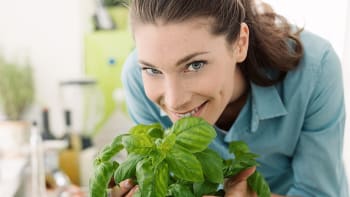 Proč doma pěstovat pokojové rostliny i byliny a mít kytky ve váze