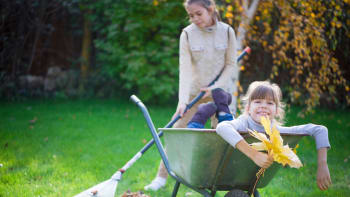 4 základní rady, jak na podzim pečovat o trávník