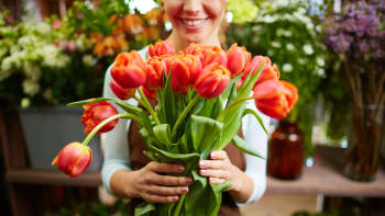 Začíná čas tulipánů: Jmenují se po turbanech a měly cenu zlata. Čím ještě překvapí?