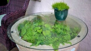 Zelený stolek