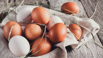 Jak poznat čerstvá vejce a proč je skladovat špičkou dolů? Naše tipy se vám mohou hodit