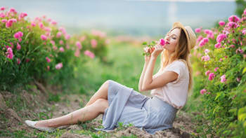 Je čas růží! Víte, jak je pěstovat bez námahy, aby krásně kvetly?
