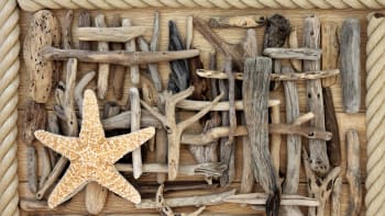 Vyplavené dřevo z moře: Dekorace, které vám budou připomínat dovolenou