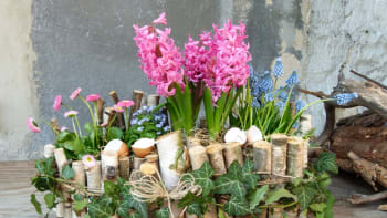 Rozkvetlý velikonoční truhlík: Schovejte plast za přírodní materiály a přivítejte jaro
