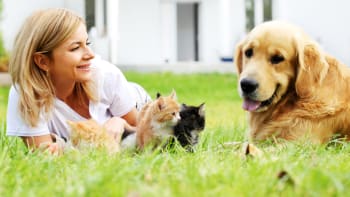5 rad pro bezproblémové soužití psa a kočky. Vůbec se nemusí rvát