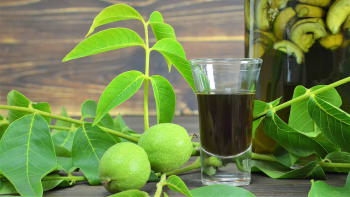 Svatojánský likér z mladých zelených ořechů podporuje trávení a dobrou náladu