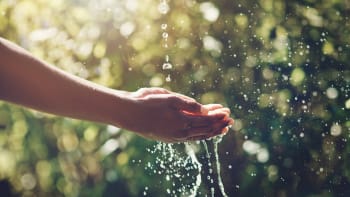 15 tipů, jak šetřit vodu v domácnosti. Peněženka i planeta vám poděkují