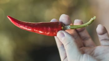 Jak se zbavit pálení rukou po chilli? Kapsaicin nás potrápí, ale můžeme si ulevit