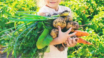 8 rad pro začínající zahradníky, jak zvládnout pěstování zeleniny, ovoce, bylin a květin