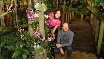 Pro milovníky orchidejí: V botanické zahradě začala výstava nejkrásnějších druhů
