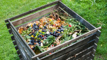 Je nutné kompost zalévat? V určitých případech ano
