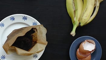Banány, lógr, skořápky aneb Jak si vyrobit vlastní hnojivo na kytky z kuchyňských zbytků