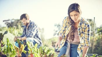 Vlastní zelenina ve městě: Komunitní zahrady nabízejí vitamíny, ale i relax a nová přátelství