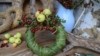 Podzimní věnec z habrového listí ozdobte jablíčky a plody hlohu