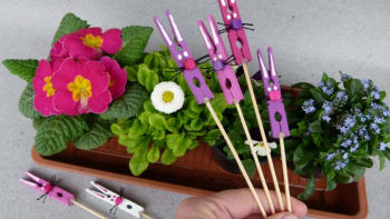 Zajíčci z dřevěných kolíčků na prádlo: Vyrobte si velikonoční zápichy do květináče